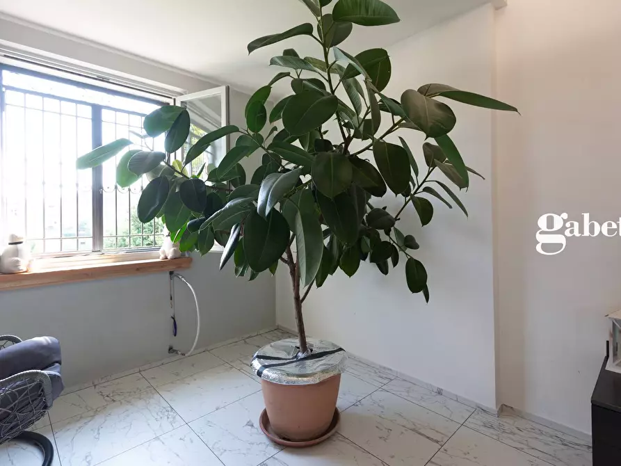 Immagine 19 di Villa in vendita  in Via Garibaldi 19 a Nibionno