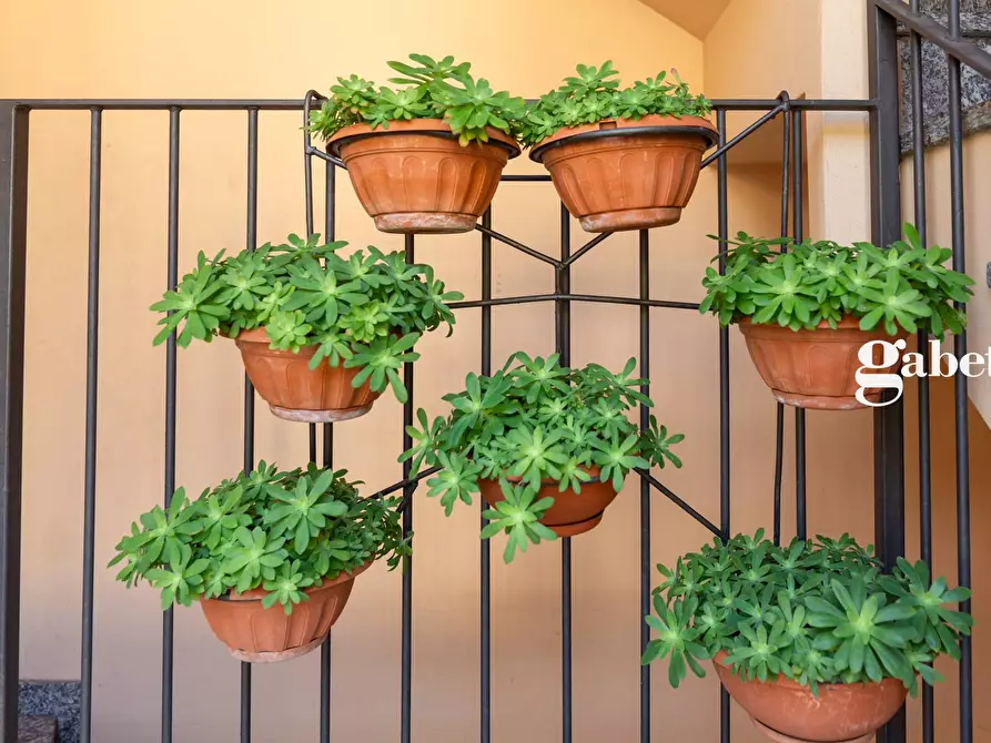 Immagine 5 di Appartamento in vendita  in Vicolo San Giovanni 8 a Carnate