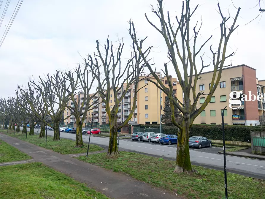 Immagine 1 di Appartamento in vendita  in Via Michele Robecchi 8 a Muggiò