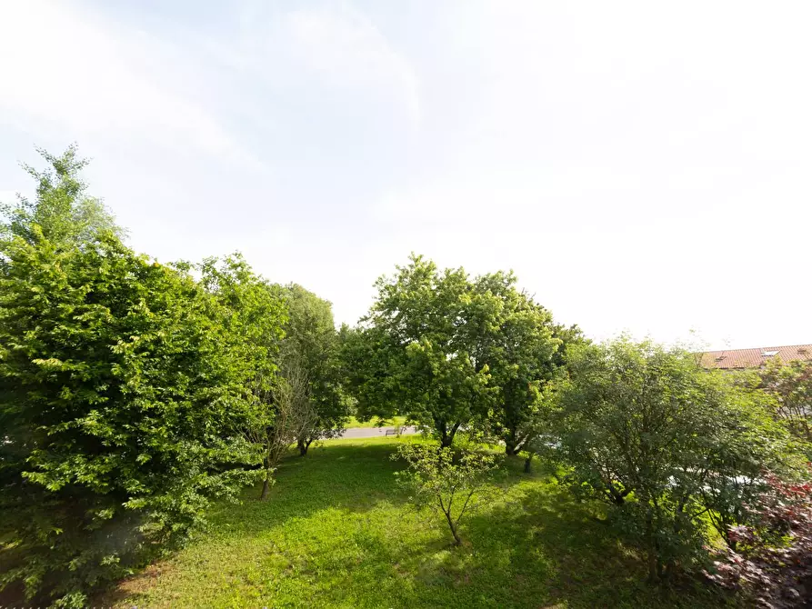 Immagine 29 di Appartamento in vendita  in Via Brianza 20 a Bernareggio