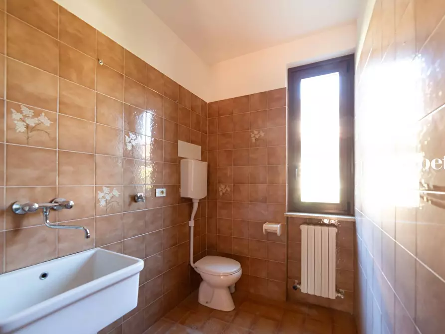Immagine 31 di Appartamento in affitto  in Via Borani 4/C a Carnago