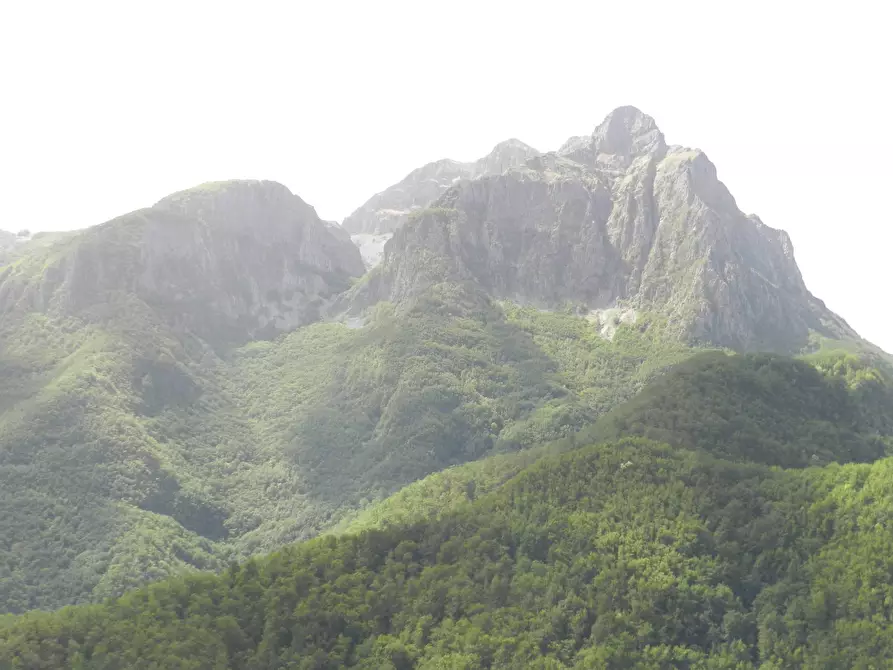 Immagine 3 di Casa indipendente in vendita  a Careggine