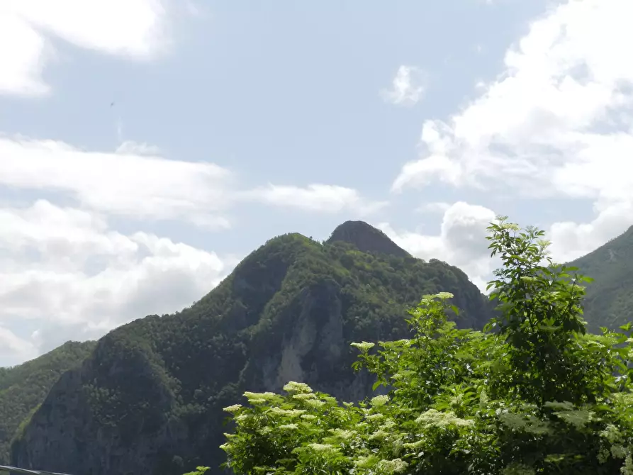 Immagine 4 di Casa indipendente in vendita  a Careggine