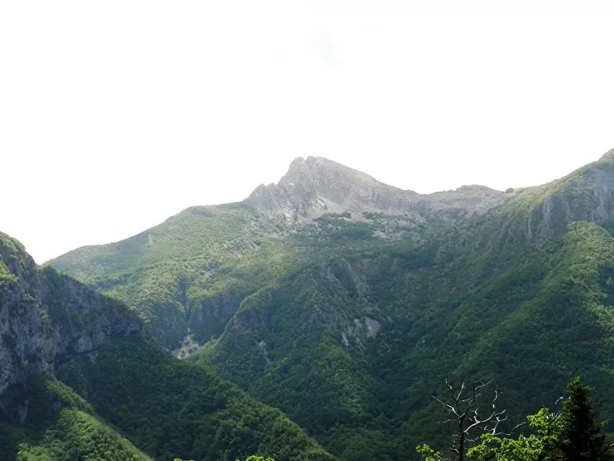 Immagine 28 di Casa indipendente in vendita  a Careggine