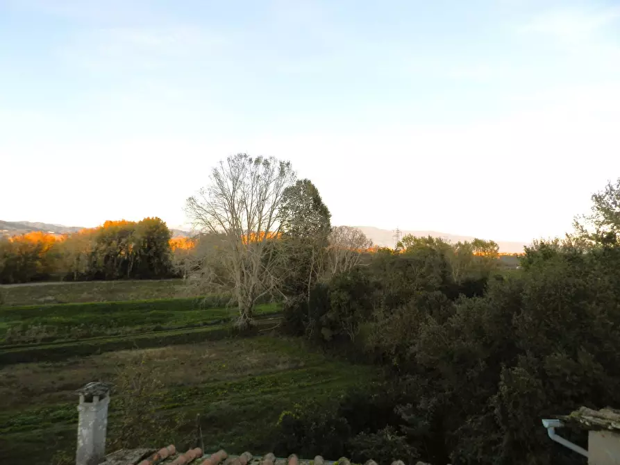 Immagine 58 di Rustico / casale in vendita  a Lucca