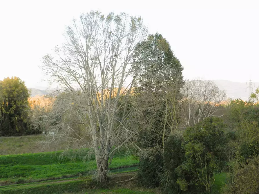 Immagine 60 di Rustico / casale in vendita  a Lucca