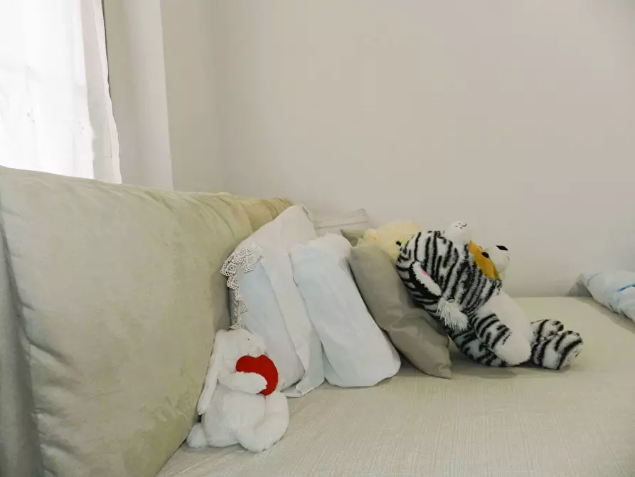 Immagine 36 di Appartamento in vendita  71 a Lucca