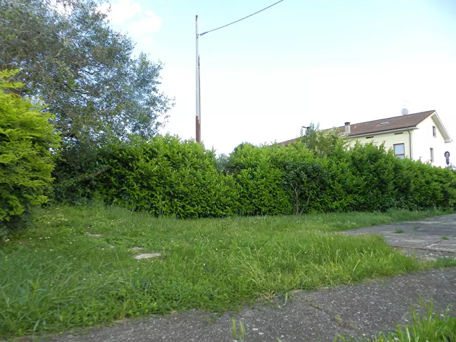 Immagine 73 di Villa in vendita  2037 a Lucca