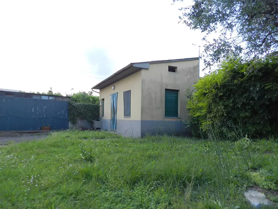 Immagine 74 di Villa in vendita  2037 a Lucca