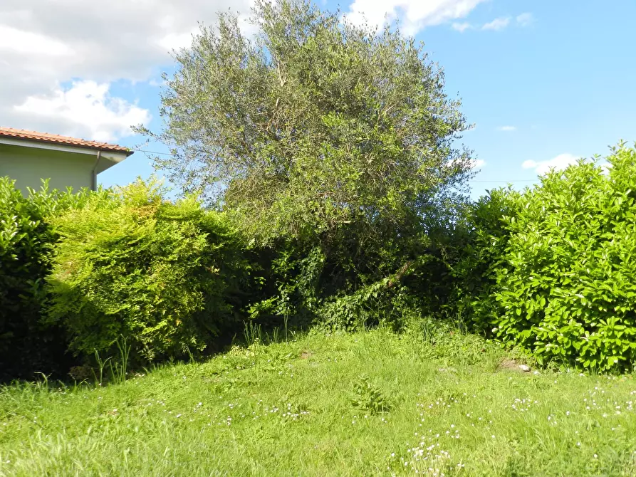 Immagine 87 di Villa in vendita  2037 a Lucca