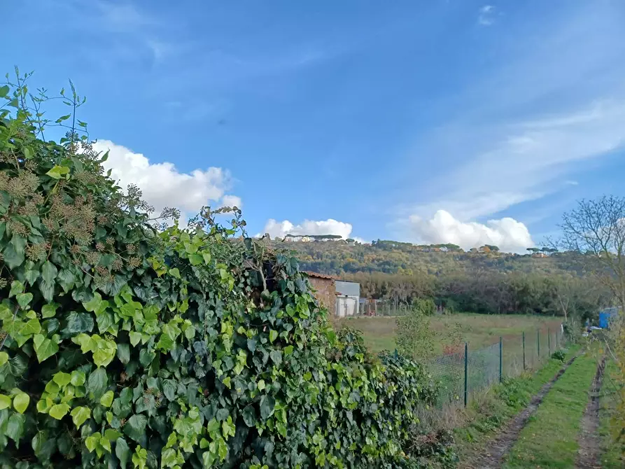 Immagine 7 di Terreno agricolo in vendita  in via degli orti a Ariccia