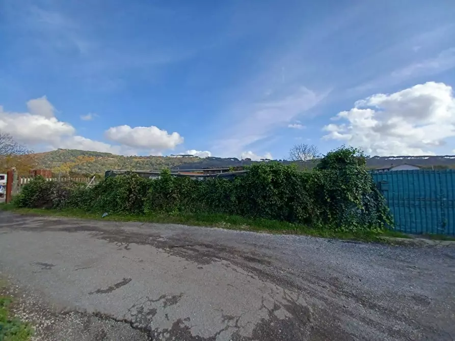 Immagine 13 di Terreno agricolo in vendita  in via degli orti a Ariccia