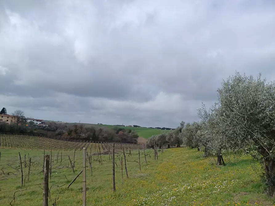 Immagine 1 di Terreno agricolo in vendita  in SANTA MARIA IN FORNAROLA a Roma