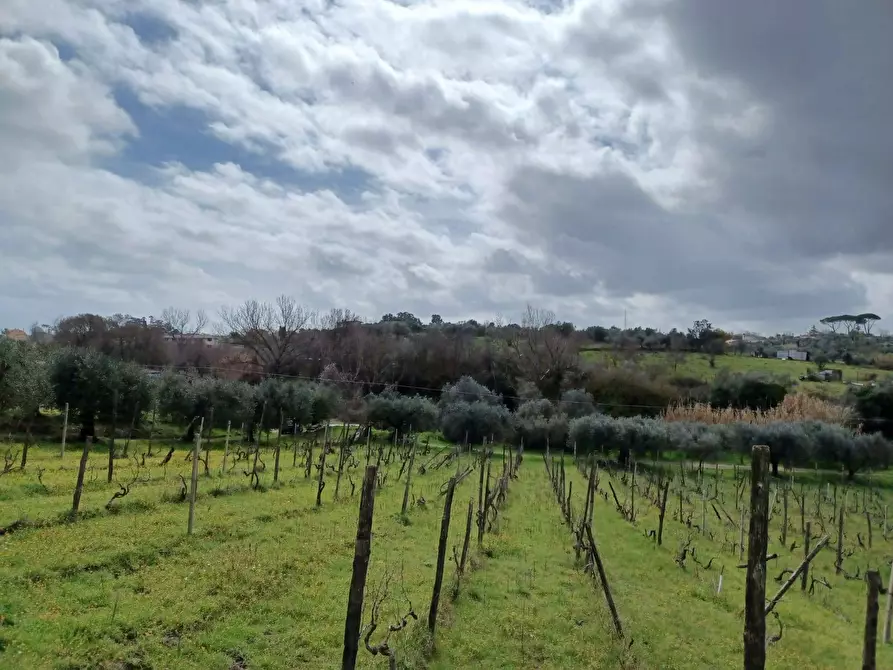Immagine 2 di Terreno agricolo in vendita  in SANTA MARIA IN FORNAROLA a Roma