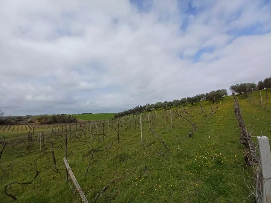 Immagine 10 di Terreno agricolo in vendita  in SANTA MARIA IN FORNAROLA a Roma