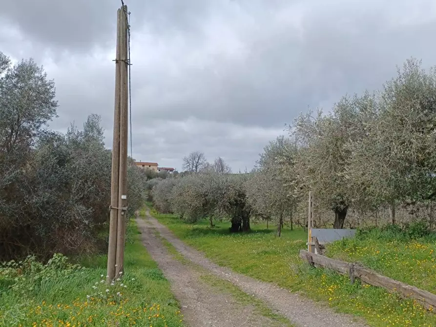 Immagine 11 di Terreno agricolo in vendita  in SANTA MARIA IN FORNAROLA a Roma