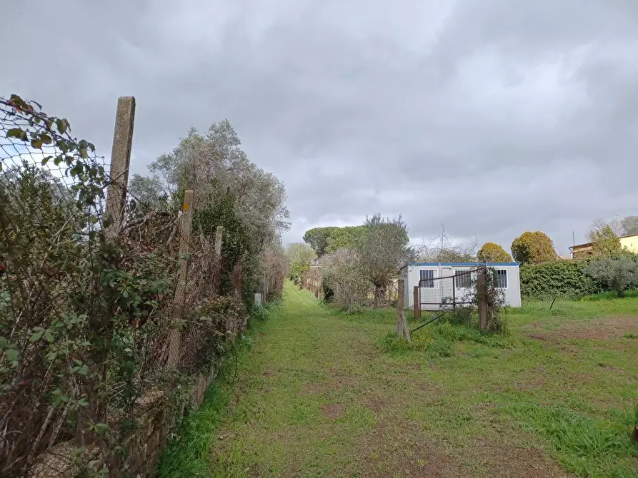 Immagine 2 di Terreno agricolo in vendita  in via santa fumia 62 a Castel Gandolfo