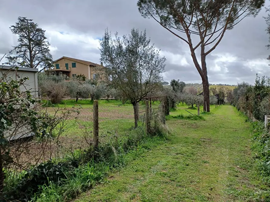 Immagine 7 di Terreno agricolo in vendita  in via santa fumia 62 a Castel Gandolfo