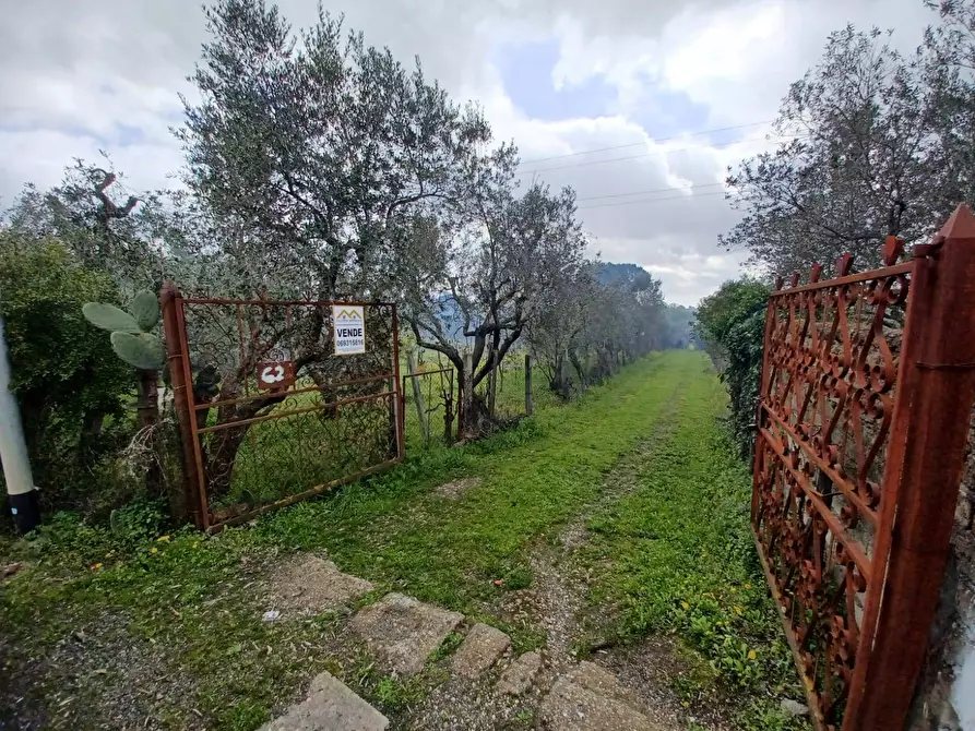 Immagine 8 di Terreno agricolo in vendita  in via santa fumia 62 a Castel Gandolfo
