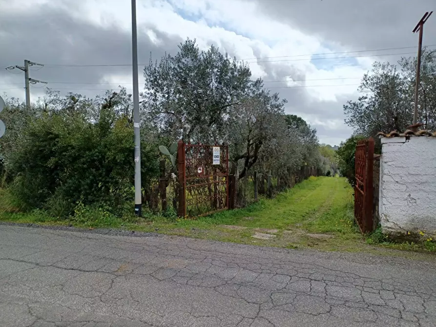 Immagine 14 di Terreno agricolo in vendita  in via santa fumia 62 a Castel Gandolfo