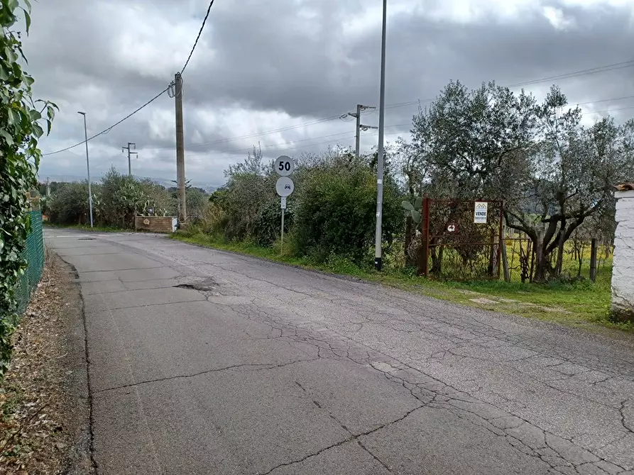 Immagine 15 di Terreno agricolo in vendita  in via santa fumia 62 a Castel Gandolfo