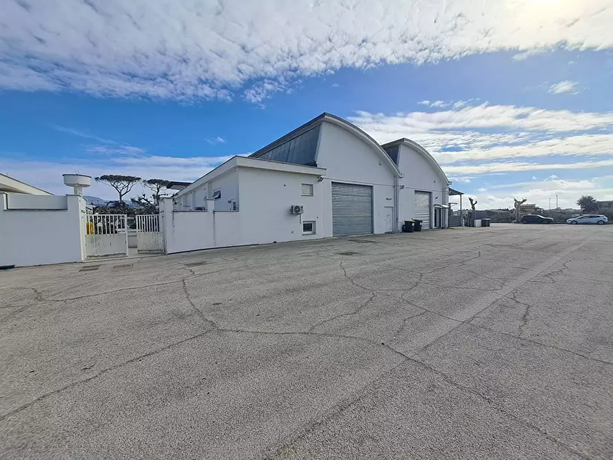 Immagine 3 di Magazzino in vendita  in via torino a Albano Laziale