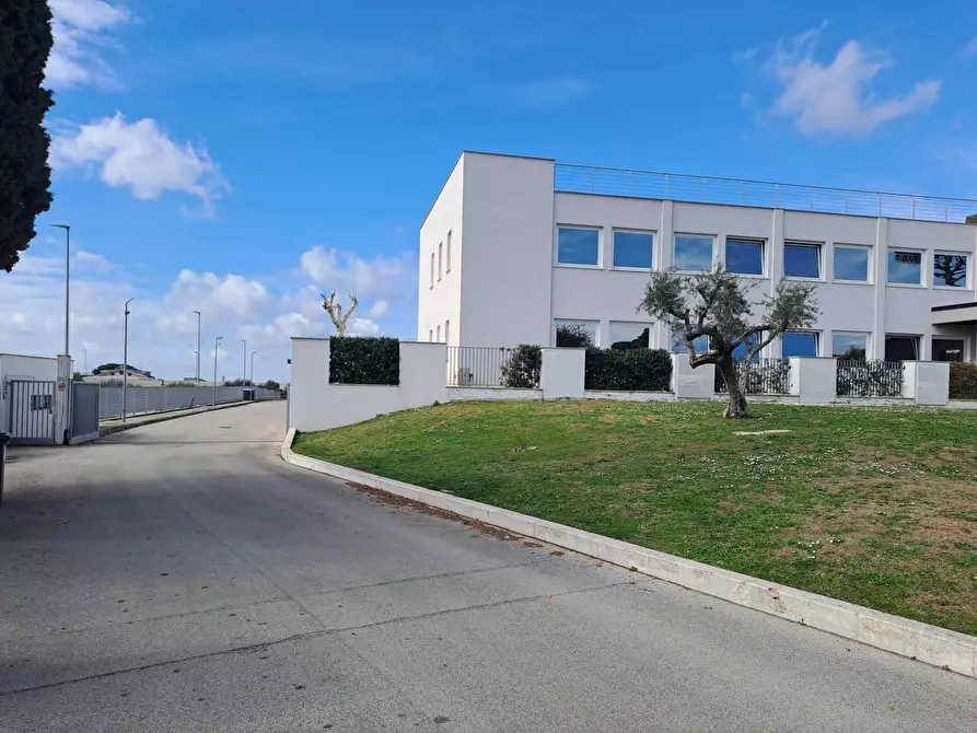 Immagine 4 di Magazzino in vendita  in via torino a Albano Laziale