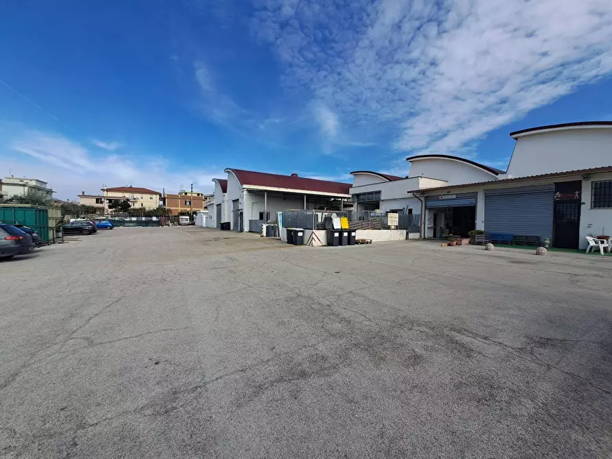 Immagine 10 di Magazzino in vendita  in via torino a Albano Laziale