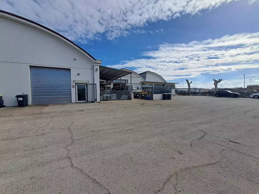 Immagine 11 di Magazzino in vendita  in via torino a Albano Laziale