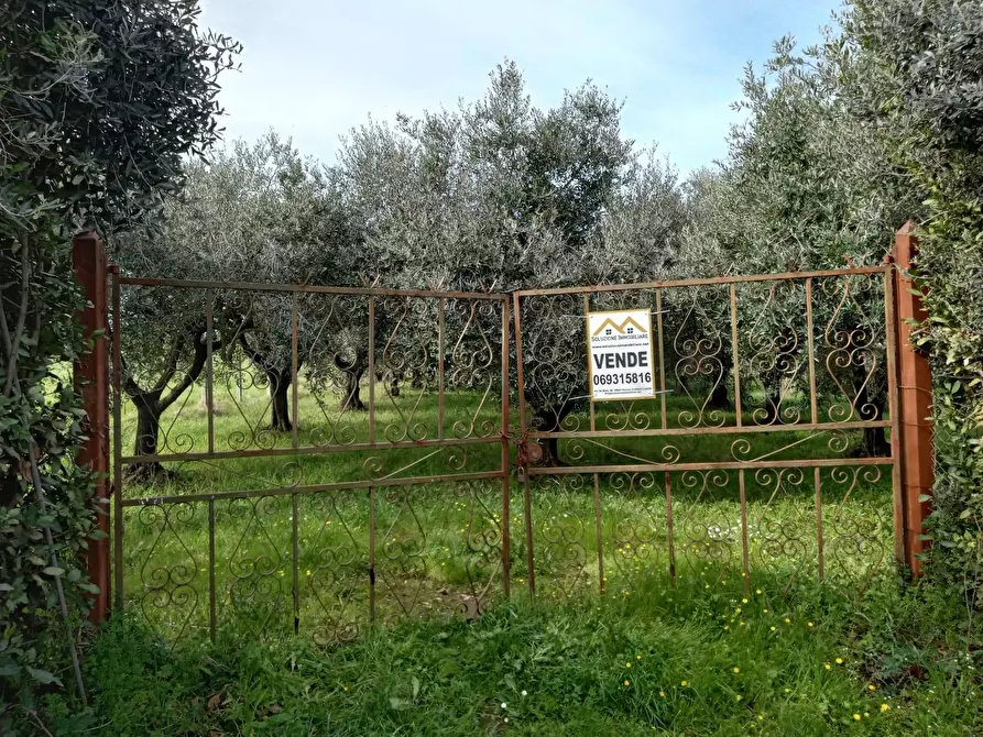 Immagine 1 di Terreno agricolo in vendita  in VIA PIETRALCINA a Roma