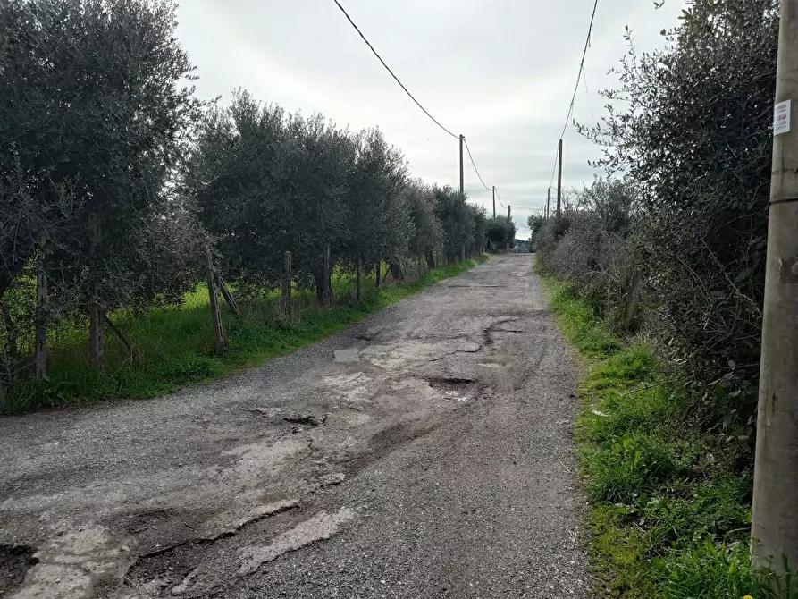 Immagine 3 di Terreno agricolo in vendita  in VIA PIETRALCINA a Roma