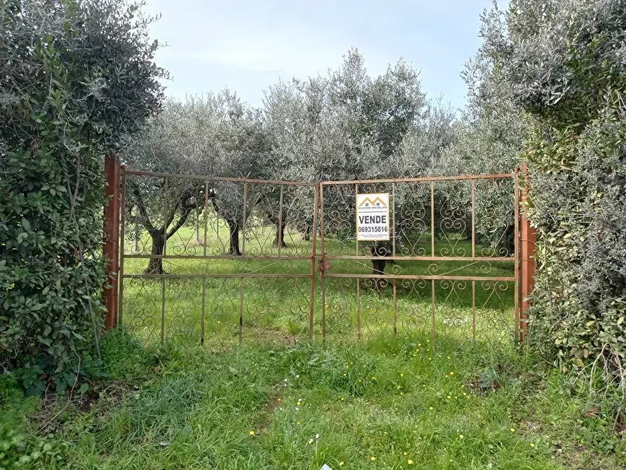 Immagine 4 di Terreno agricolo in vendita  in VIA PIETRALCINA a Roma