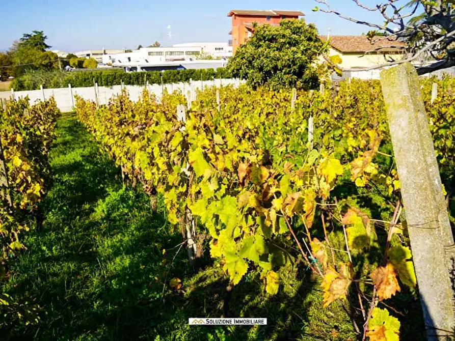 Immagine 1 di Terreno agricolo in vendita  in via dei tulipani 24 a Albano Laziale