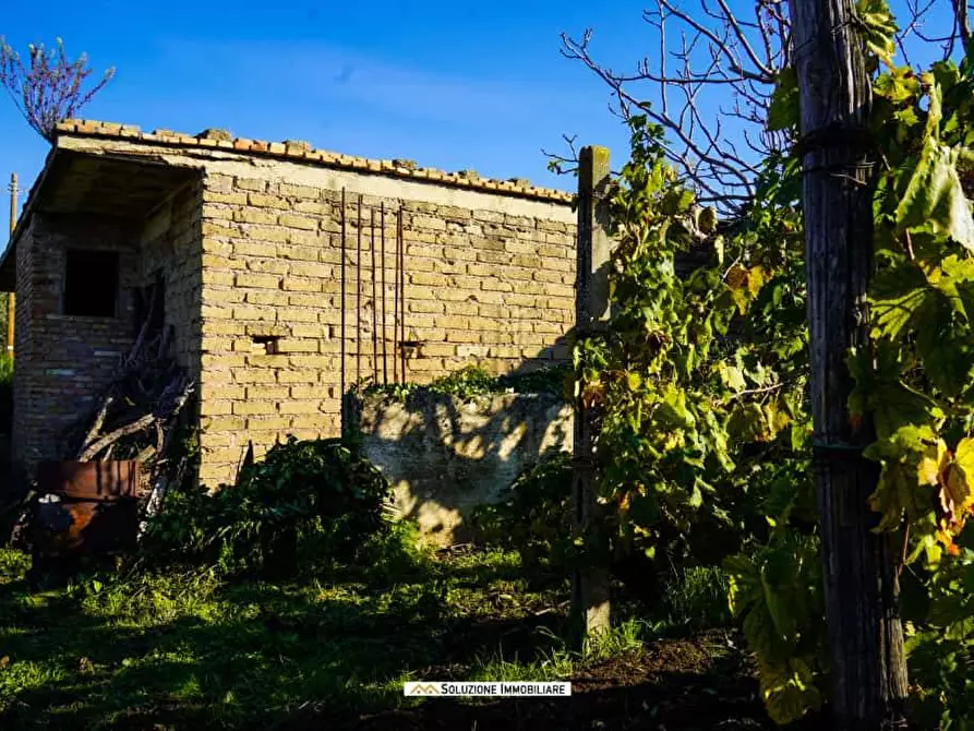 Immagine 2 di Terreno agricolo in vendita  in via dei tulipani 24 a Albano Laziale