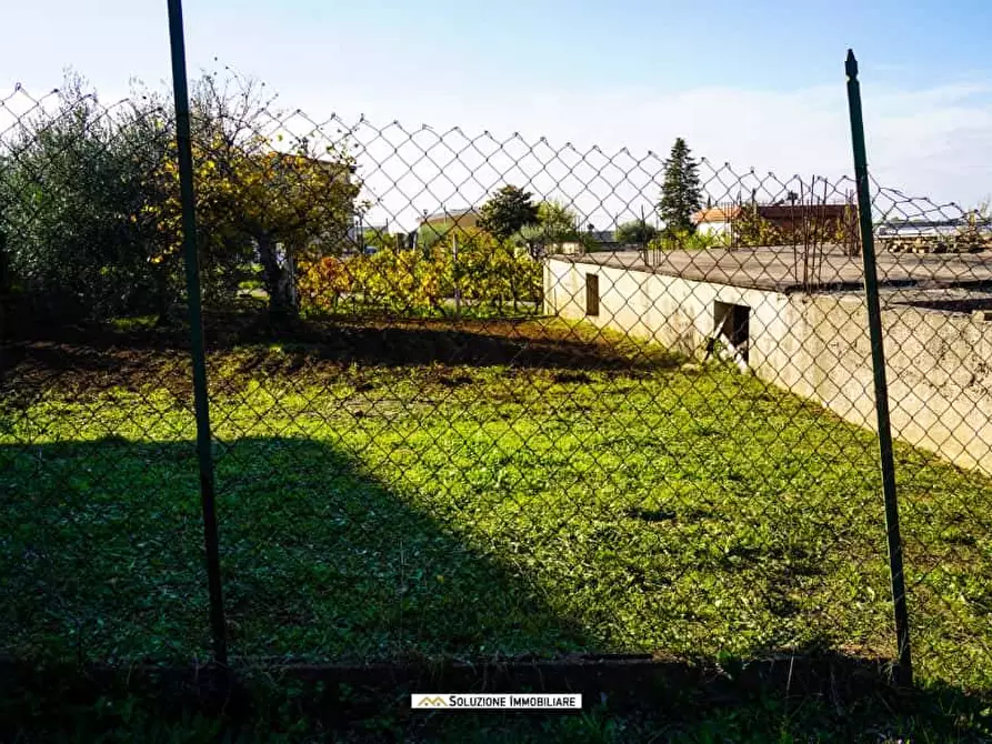 Immagine 9 di Terreno agricolo in vendita  in via dei tulipani 24 a Albano Laziale