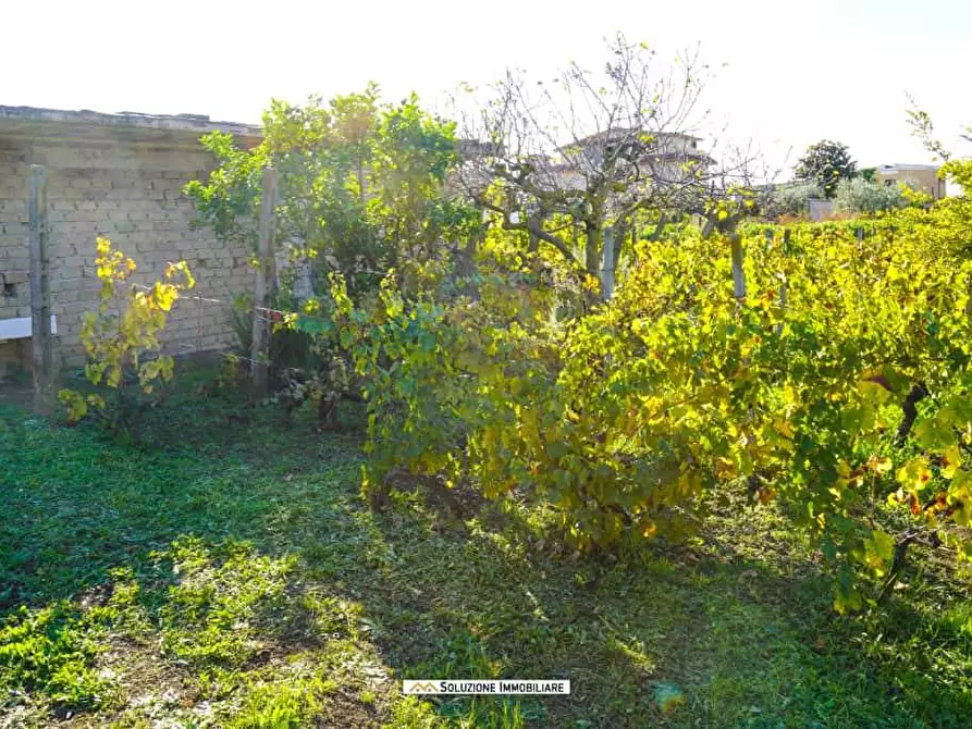 Immagine 13 di Terreno agricolo in vendita  in via dei tulipani 24 a Albano Laziale