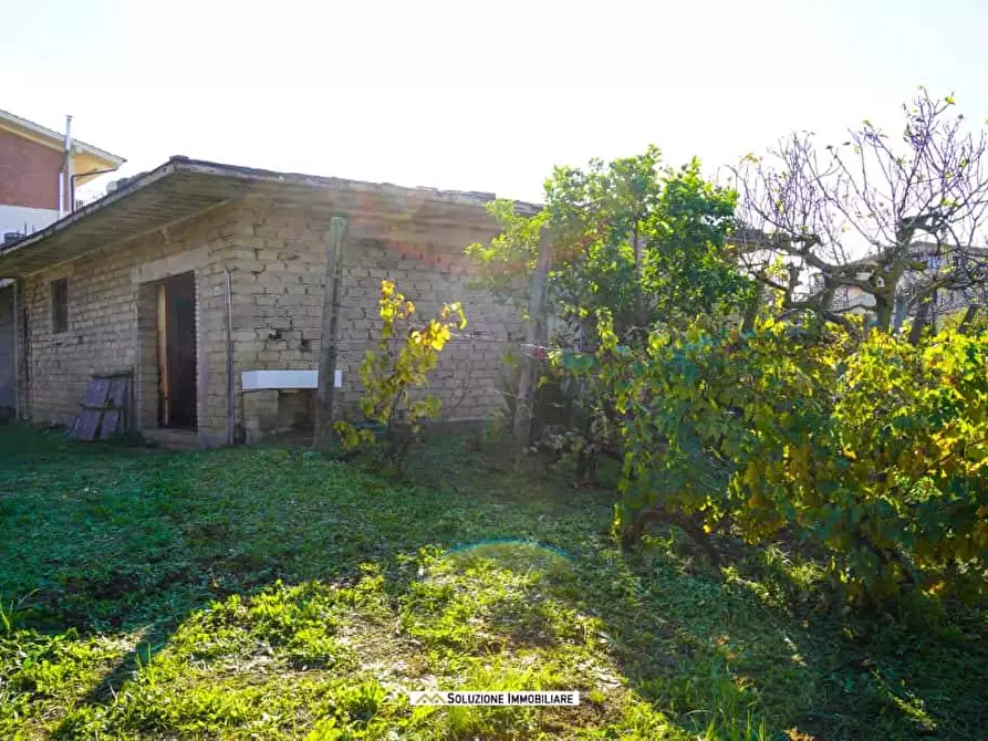 Immagine 15 di Terreno agricolo in vendita  in via dei tulipani 24 a Albano Laziale