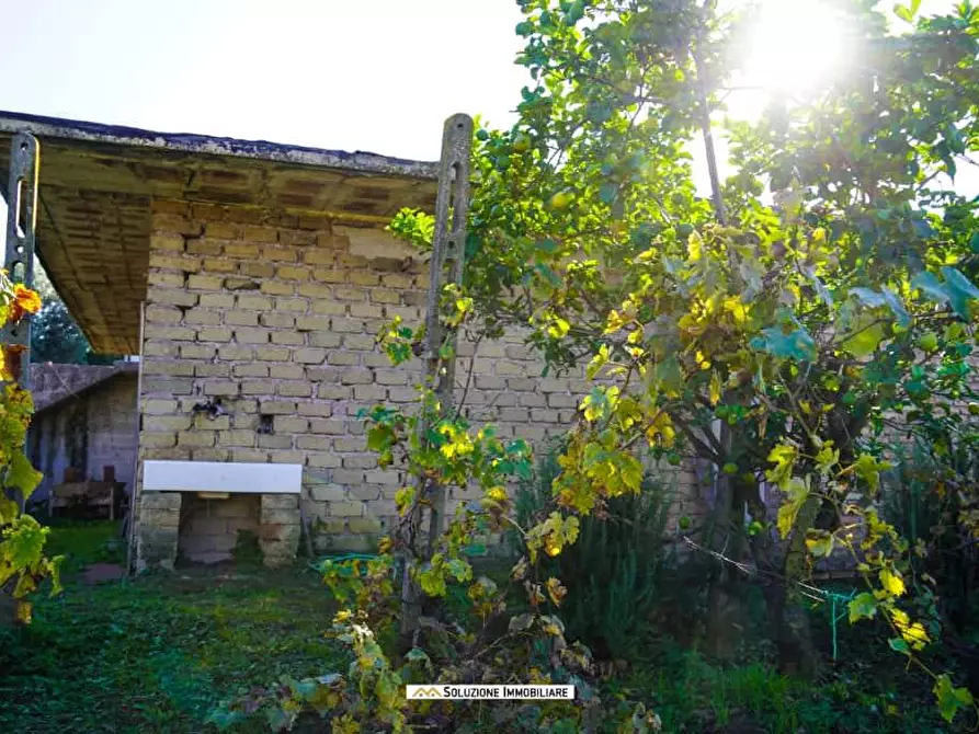 Immagine 16 di Terreno agricolo in vendita  in via dei tulipani 24 a Albano Laziale