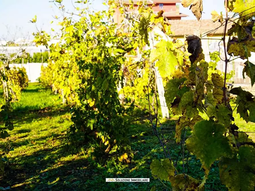 Immagine 17 di Terreno agricolo in vendita  in via dei tulipani 24 a Albano Laziale