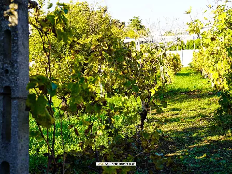 Immagine 18 di Terreno agricolo in vendita  in via dei tulipani 24 a Albano Laziale