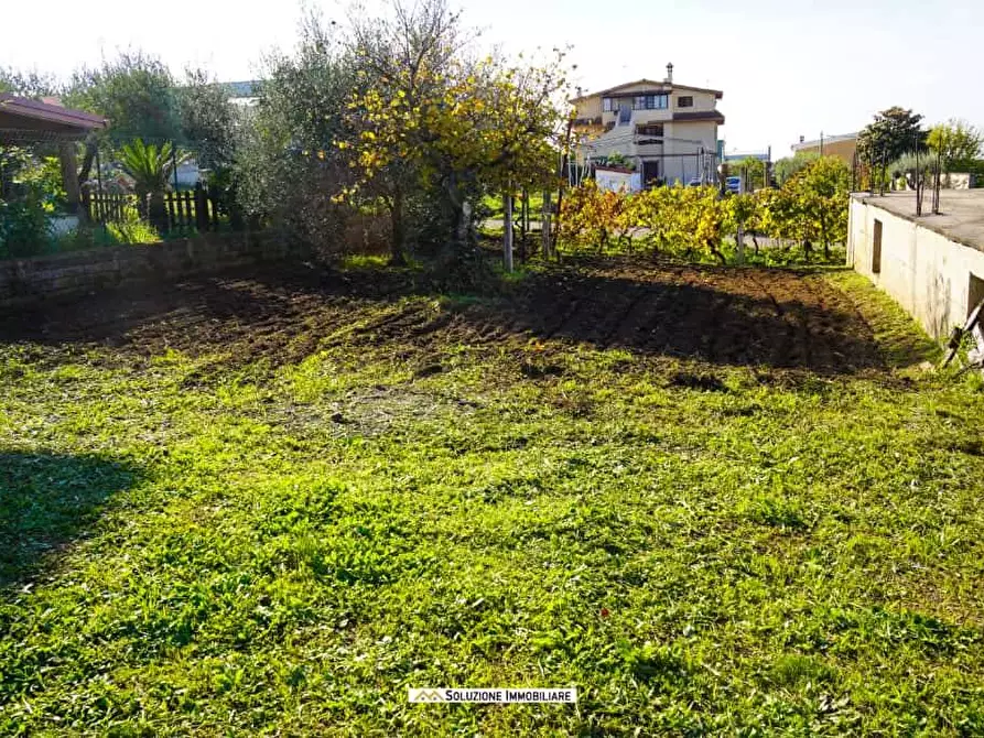 Immagine 19 di Terreno agricolo in vendita  in via dei tulipani 24 a Albano Laziale