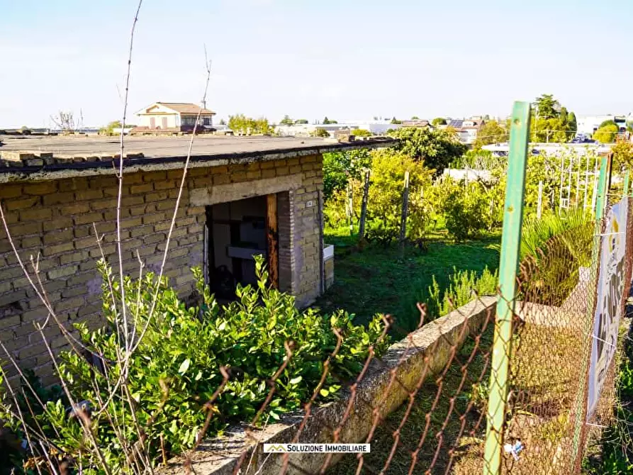 Immagine 21 di Terreno agricolo in vendita  in via dei tulipani 24 a Albano Laziale
