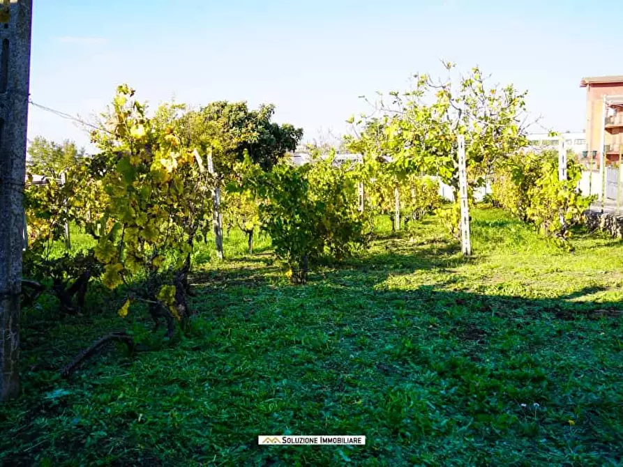 Immagine 23 di Terreno agricolo in vendita  in via dei tulipani 24 a Albano Laziale