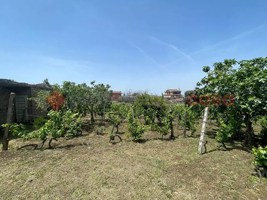 Immagine 26 di Terreno agricolo in vendita  in via dei tulipani 24 a Albano Laziale