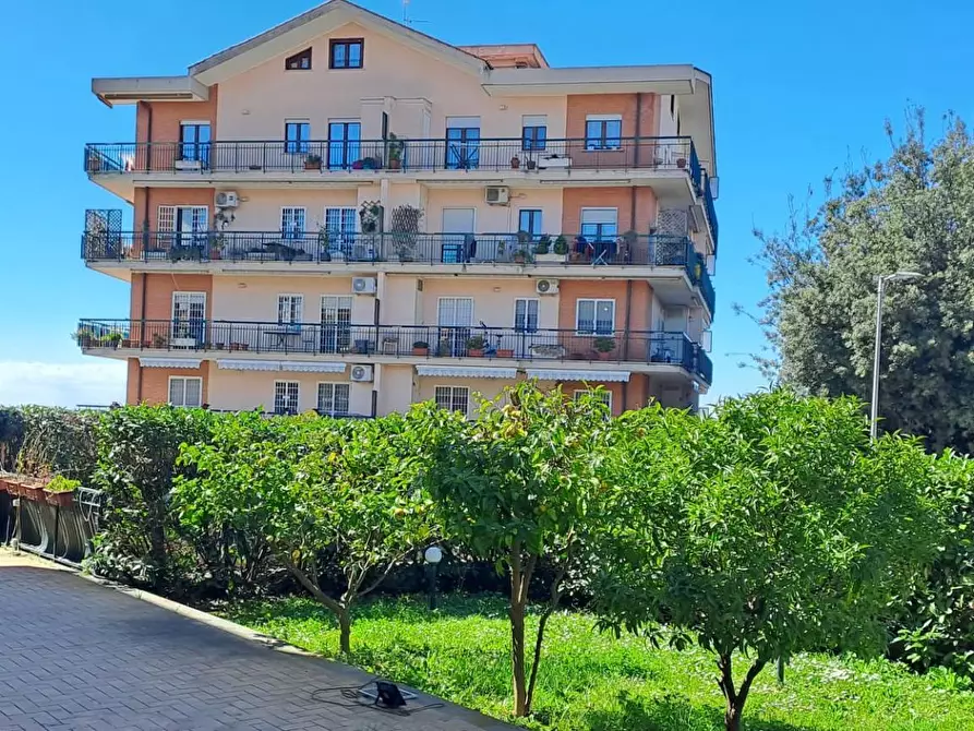 Immagine 28 di Appartamento in vendita  in via verdi 104 a Albano Laziale