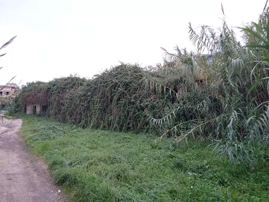 Immagine 2 di Terreno residenziale in vendita  in TOR PALUZZI a Albano Laziale