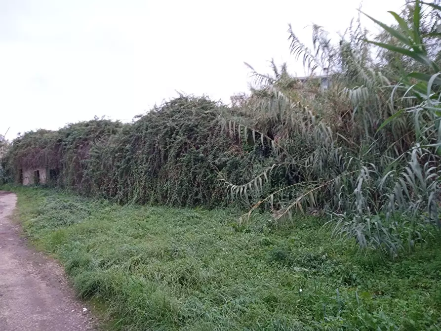 Immagine 3 di Terreno residenziale in vendita  in TOR PALUZZI a Albano Laziale