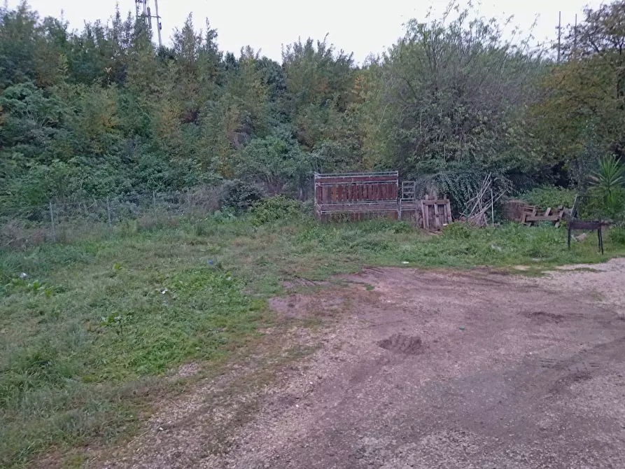 Immagine 4 di Terreno residenziale in vendita  in TOR PALUZZI a Albano Laziale