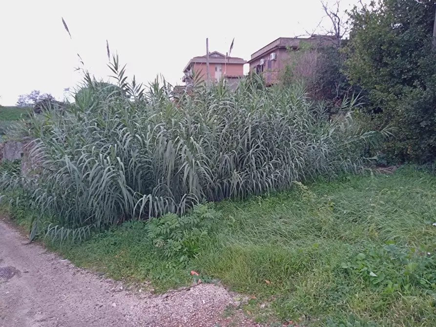 Immagine 5 di Terreno residenziale in vendita  in TOR PALUZZI a Albano Laziale