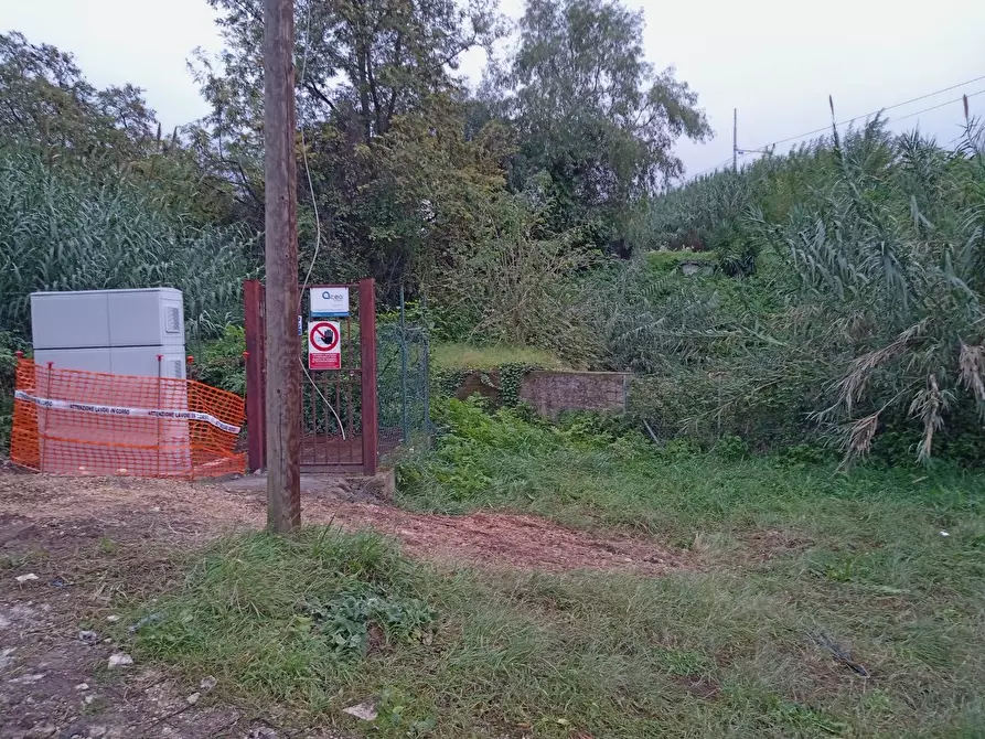 Immagine 6 di Terreno residenziale in vendita  in TOR PALUZZI a Albano Laziale